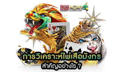 การวิเคราะห์ ไพ่เสือมังกร